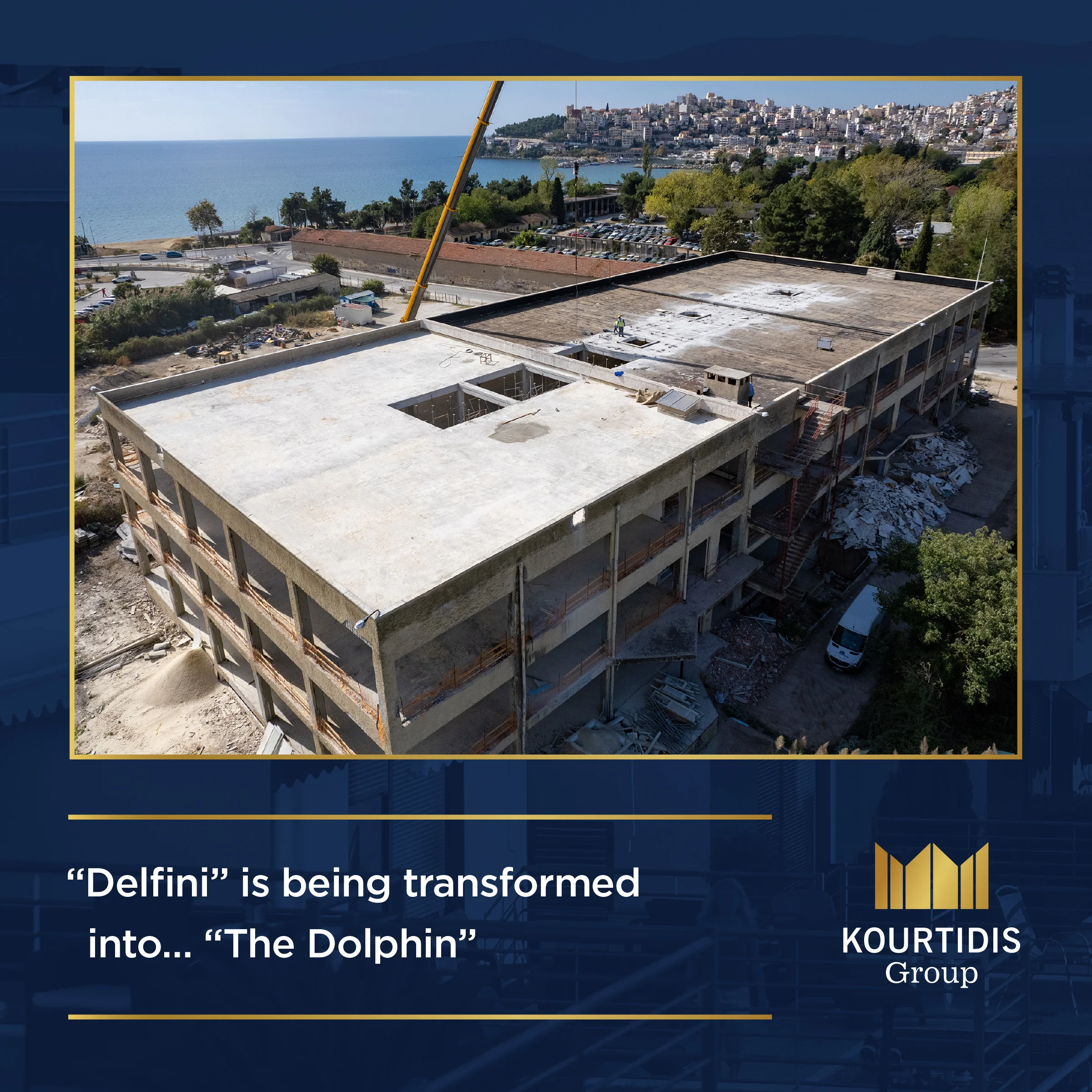 KG Group  BLOG POST EN dolphin