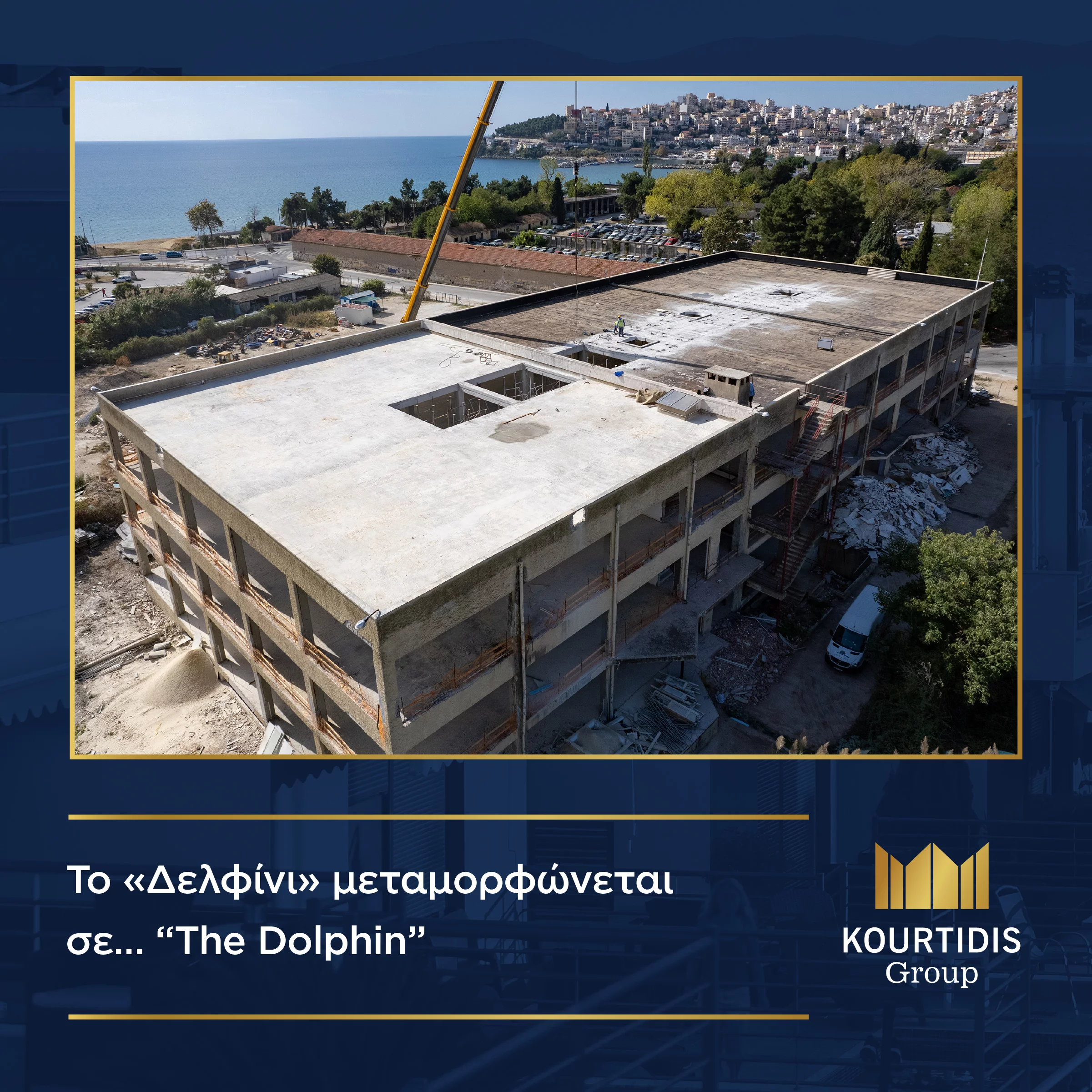 KG Group  BLOG POST dolphin